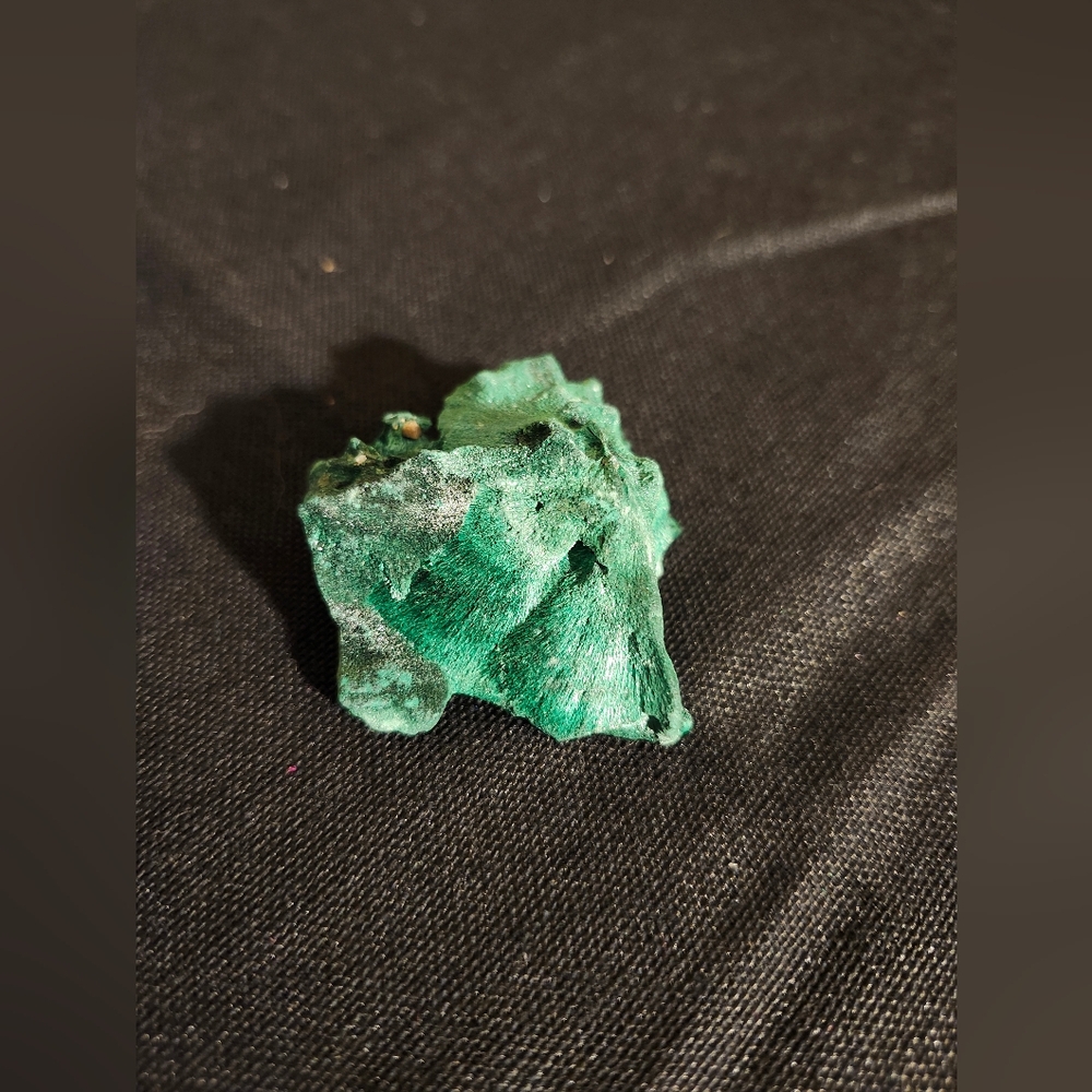 Velvet Malachite